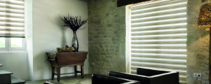 Zebra Blinds