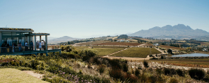 The perfect launch event in South Africa – A Celebrity Launch